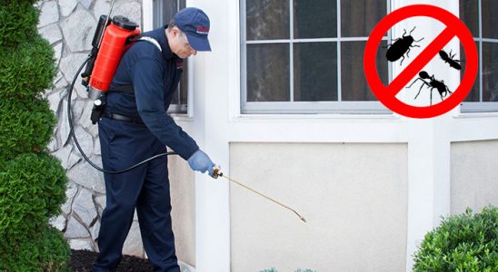 Devrekani Bit İlaçlama böcek ilaçlama ve haşere kontrolü — ilaclama-tr.com